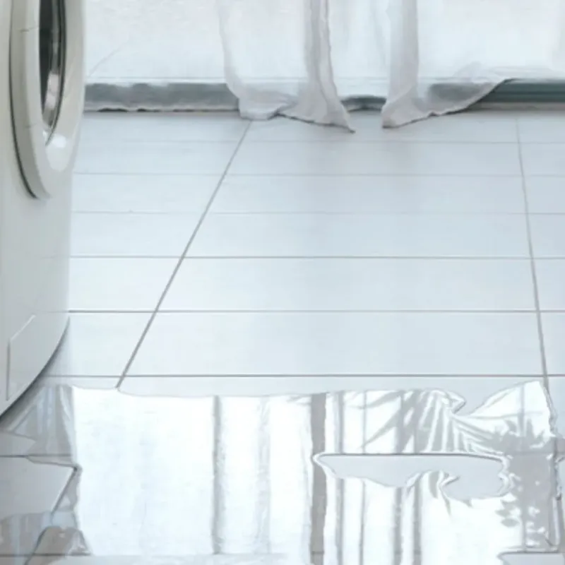 Appliance Leak Cleanup in Center Hill, FL