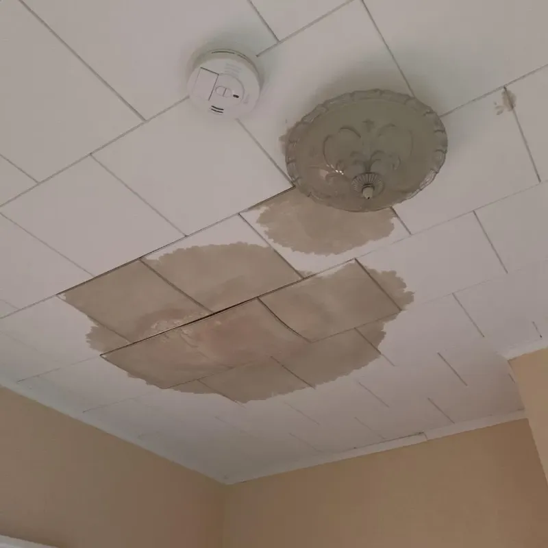 Ceiling Water Damage Repair in Center Hill, FL