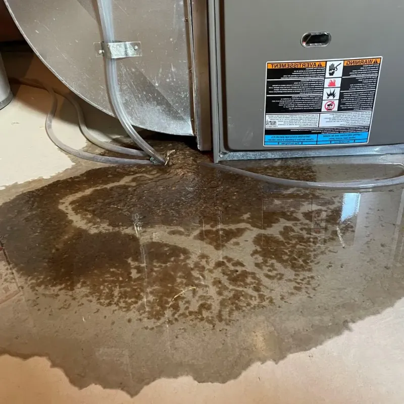 Pipe Burst and Leak Restoration in Center Hill, FL