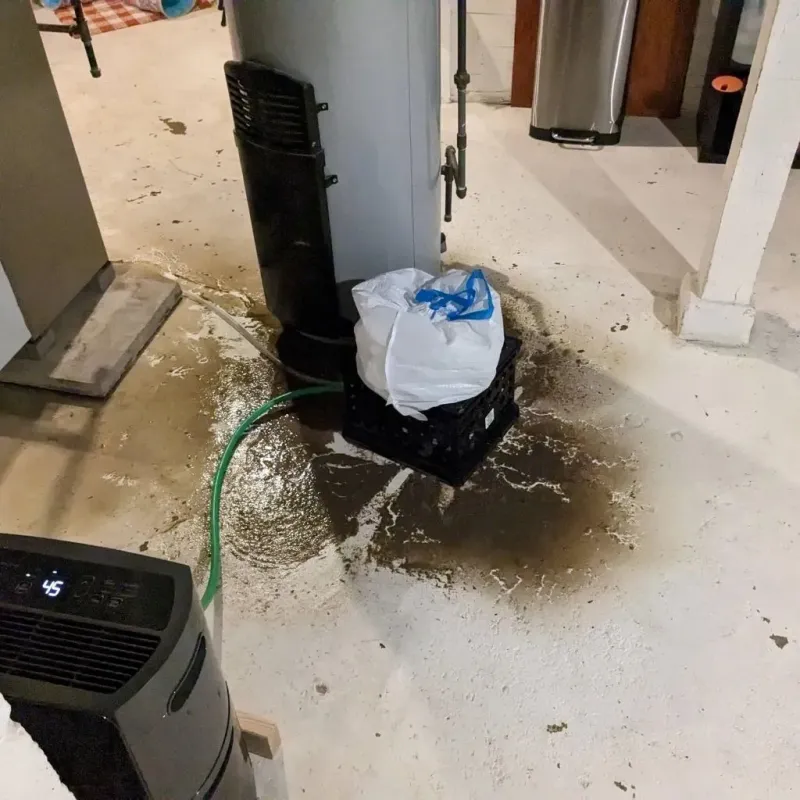 Sewage Backup Cleanup Service in Center Hill, FL